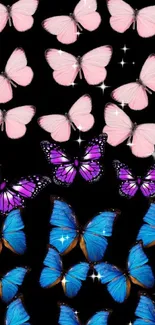 Vibrant butterflies on black wallpaper for phone.