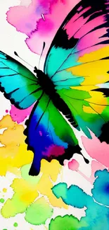 Colorful watercolor butterfly with vibrant splash background.