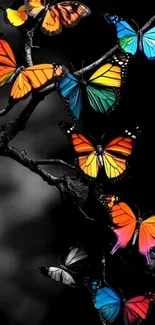 Colorful butterflies on a tree branch.