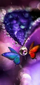 Colorful butterflies with a vibrant purple bokeh background.