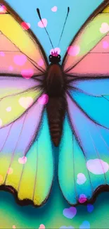 Colorful butterfly with pastel hues on a mobile wallpaper background.