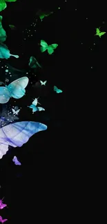 Colorful butterflies on black background wallpaper.