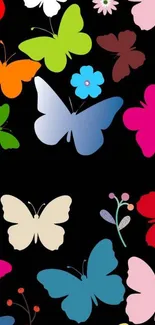 Colorful butterflies on black background wallpaper with vibrant and elegant design.