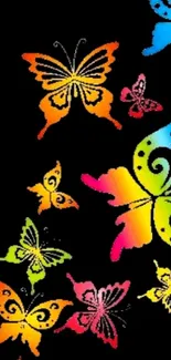 Colorful rainbow butterflies on black background wallpaper.