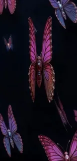 Colorful butterflies on a dark background wallpaper.