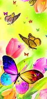 Colorful butterflies and tulips with a green background.