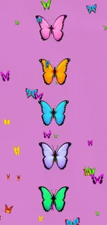 Vibrant mobile wallpaper with butterflies on a purple background.