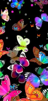 Colorful butterfly wallpaper with black background.