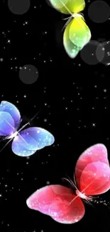 Colorful butterflies on a black background.