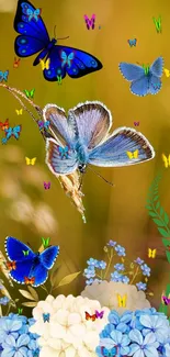 Vibrant wallpaper with blue butterflies on golden floral backdrop.