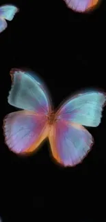 Colorful neon butterfly on black background wallpaper