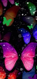 Vibrant butterfly wallpaper with neon colors on a dark background.