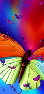 Vivid butterfly wallpaper with vibrant colors for mobile screens.