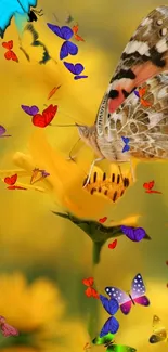 Vibrant butterflies and yellow flowers mobile wallpaper.