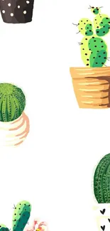 Playful potted cactus design on a white background wallpaper.