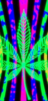 Neon green cannabis leaf on colorful wavy background.