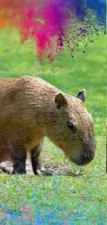 Colorful capybara with paint splash on green grass.