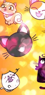 Fun cartoon cats on a colorful rainbow background wallpaper.