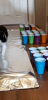 Cat walking through colorful plastic cups.