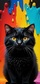 Black cat with yellow eyes on colorful splash background.