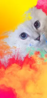 Colorful cat art wallpaper with vibrant splashes and a curious feline look.