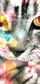 Psychedelic cat art with colorful patterns in vibrant hues.