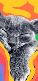 Colorful abstract wallpaper with a sleeping cat at the center.