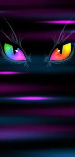 Colorful cat eyes glowing in the dark.