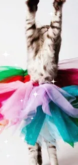 Playful cat in colorful ballet tutu raising paws.