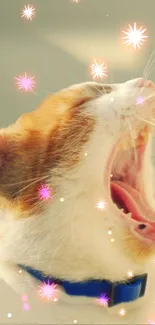 Yawning cat with sparkles on a playful background.