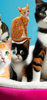 Colorful kittens on a blue background in a pink basket.