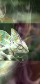 Colorful chameleon on misty background mobile wallpaper.