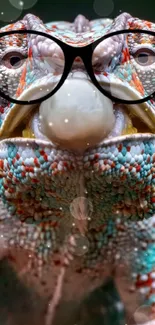 Chameleon wearing glasses with vibrant colors.