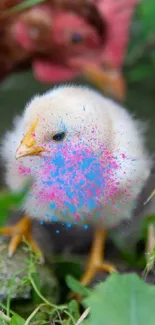 Fluffy chick splattered with colorful paint in a natural setting.