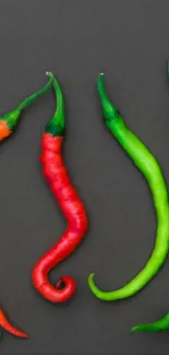 Colorful chili peppers on dark background wallpaper.