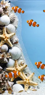 Clownfish swimming near seashells and coral in an aquarium backdrop.