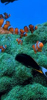 Vibrant underwater scene with clownfish and coral.