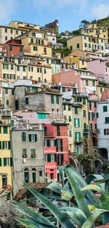 Colorful village houses with lush green plants and blue sky.