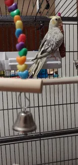 Cockatiel perched in a colorful cage with beads and bells.