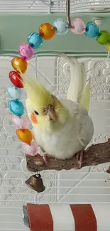 Colorful cockatiel perched on beaded hoop.