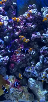 Vibrant clownfish swim among colorful coral in an underwater ocean scene.