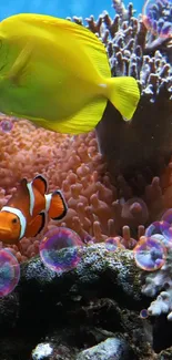 Bright coral reef with yellow and orange fish.