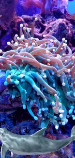 Colorful coral reef with diverse marine life in blues and purples.