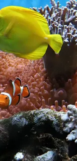 A vibrant coral reef with yellow tang and clownfish in a colorful underwater scene.