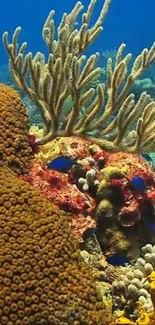 A vibrant coral reef with diverse marine life in vivid colors.