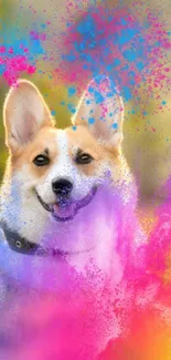 Corgi with vibrant color splash in a grassy field mobile wallpaper.