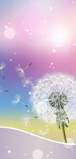 Colorful dandelion seeds and pastel background on mobile wallpaper.