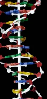 Colorful DNA strand against dark background.