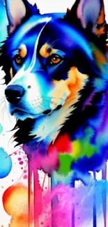 Vibrant watercolor art of a dog with splashes of color.