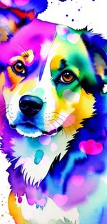 Vibrant watercolor dog art mobile wallpaper with splashes of color.